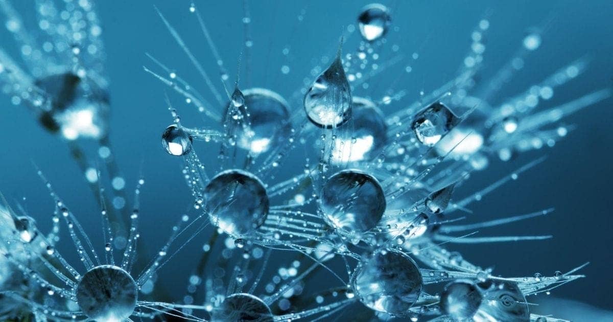 Cosa sono i PPM nei colloidali?