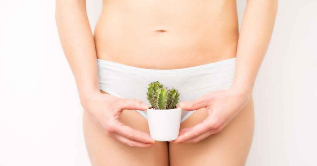 argento colloidale contro le infezioni intime - donna con cactus