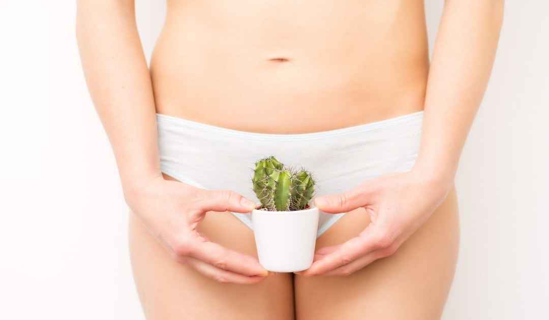 argento colloidale contro le infezioni intime - donna con cactus