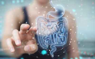 Problemi dell’intestino: la scienza ci aiuta a capire (e a stare meglio)