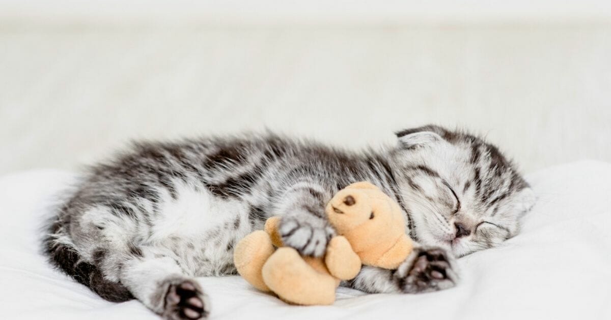 Stanchezza primaverile: i consigli dalla scienza per stare meglio